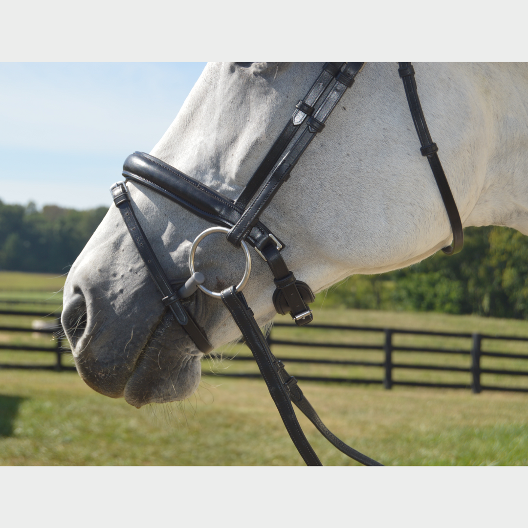 Elegance Traditional Bridle Cream Stitching