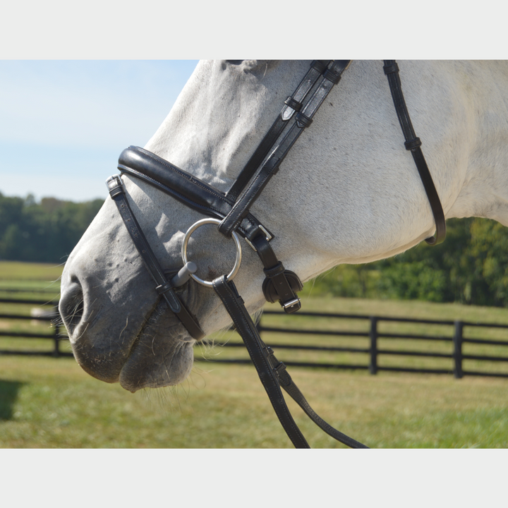 Elegance Traditional Bridle Cream Stitching