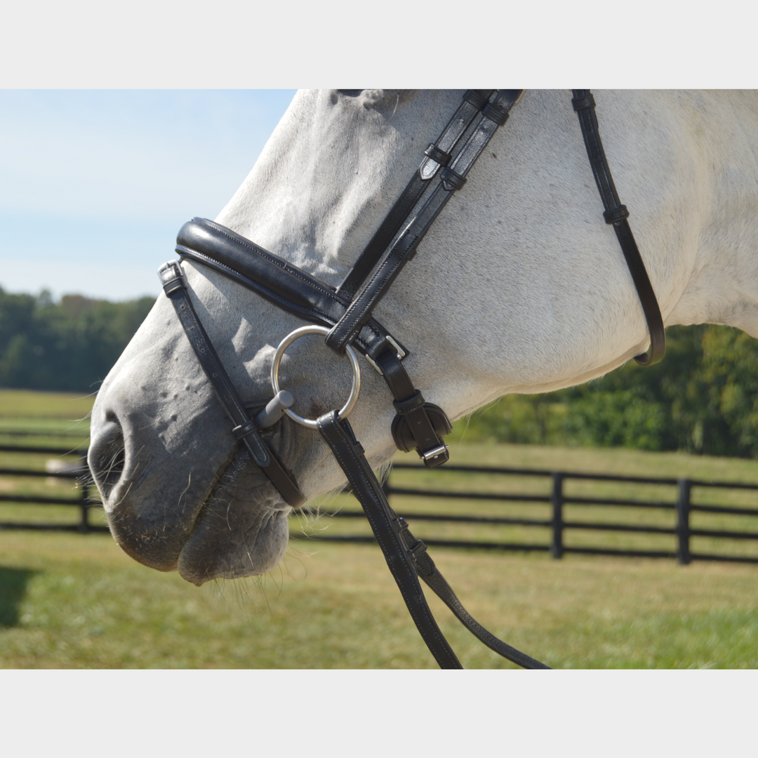 Elegance Dressage Bridle