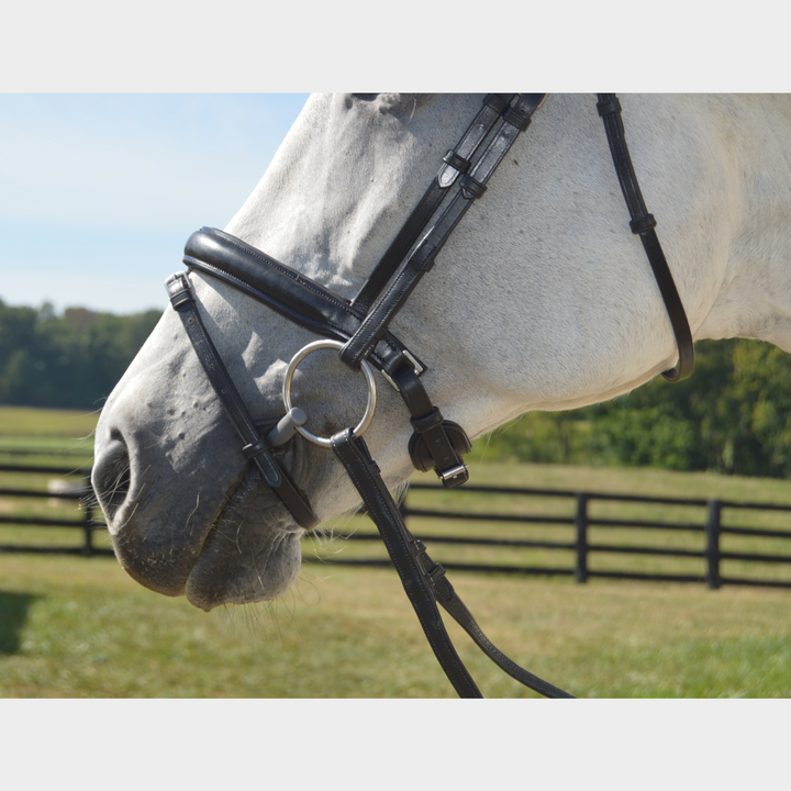 Elegance Traditional Bridle