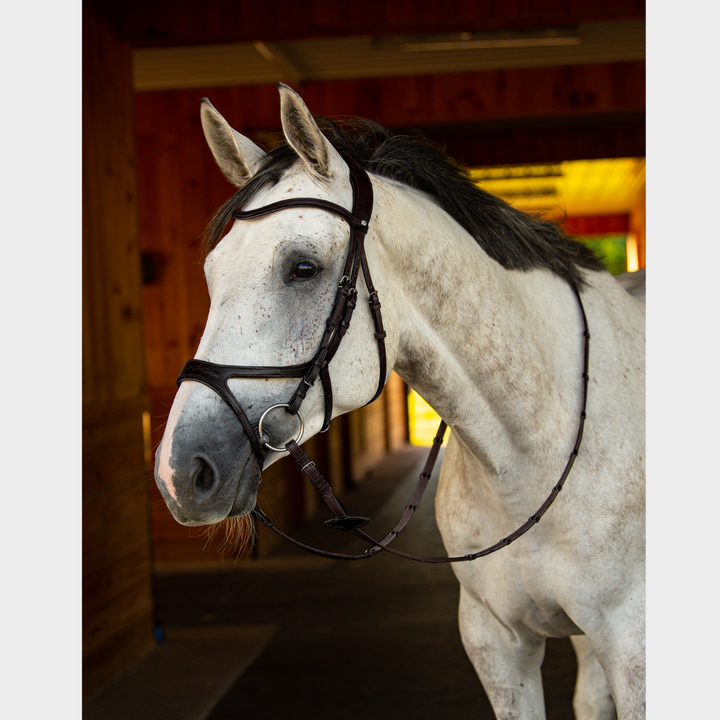 Precision Jumping Bridle