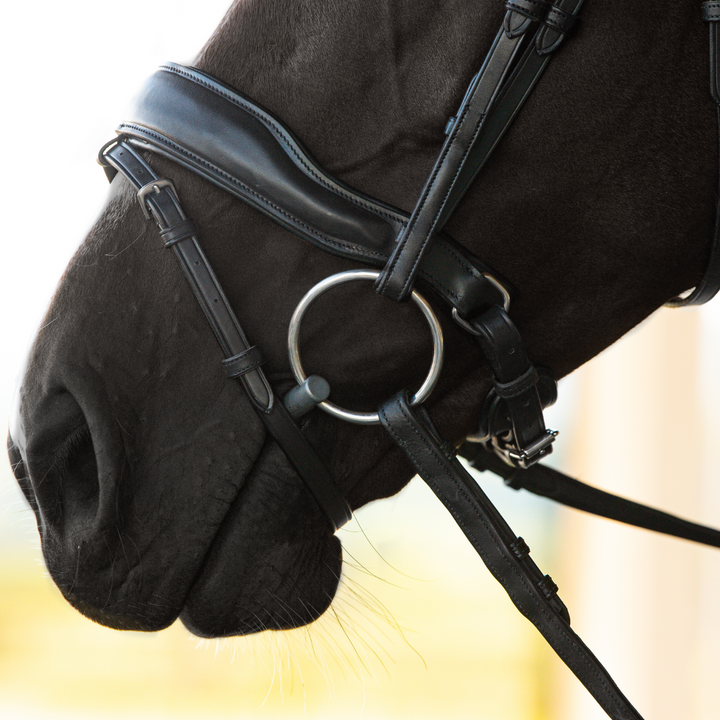 Destiny Noseband