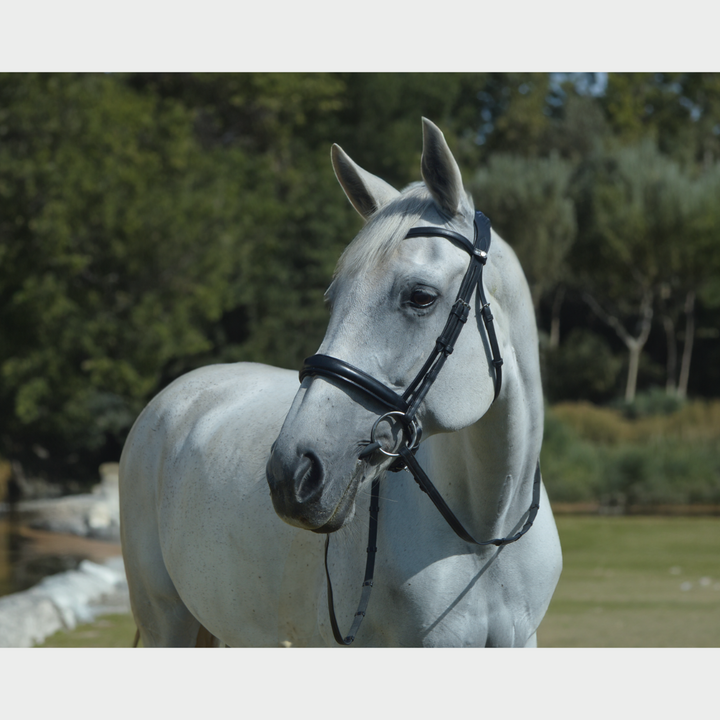 Elegance Dressage Bridle