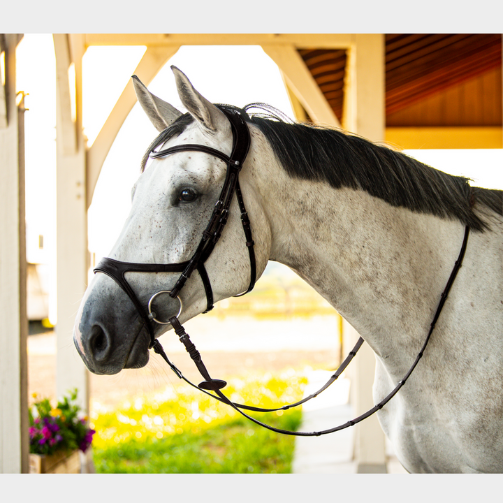 Precision Jumping Bridle