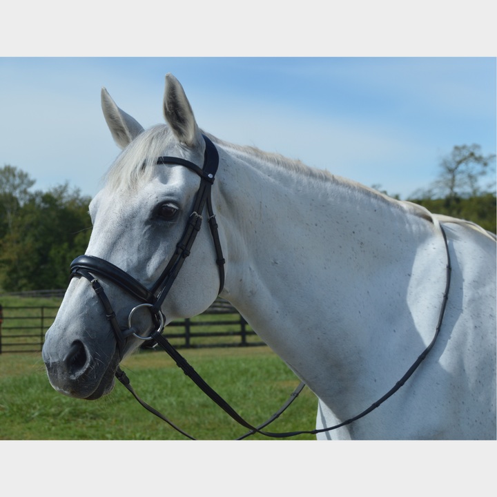 Elegance Dressage Bridle