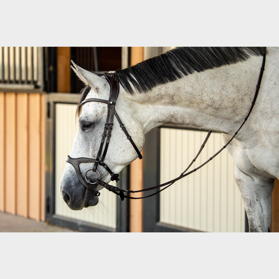 Victory Jumping Bridle