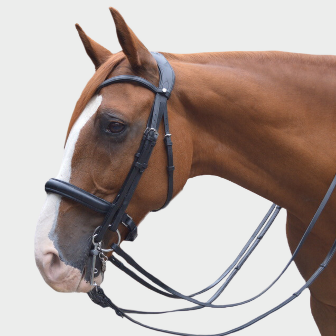 Elegance Double Bridle