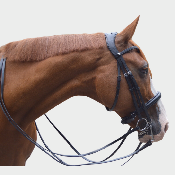 Elegance Double Bridle