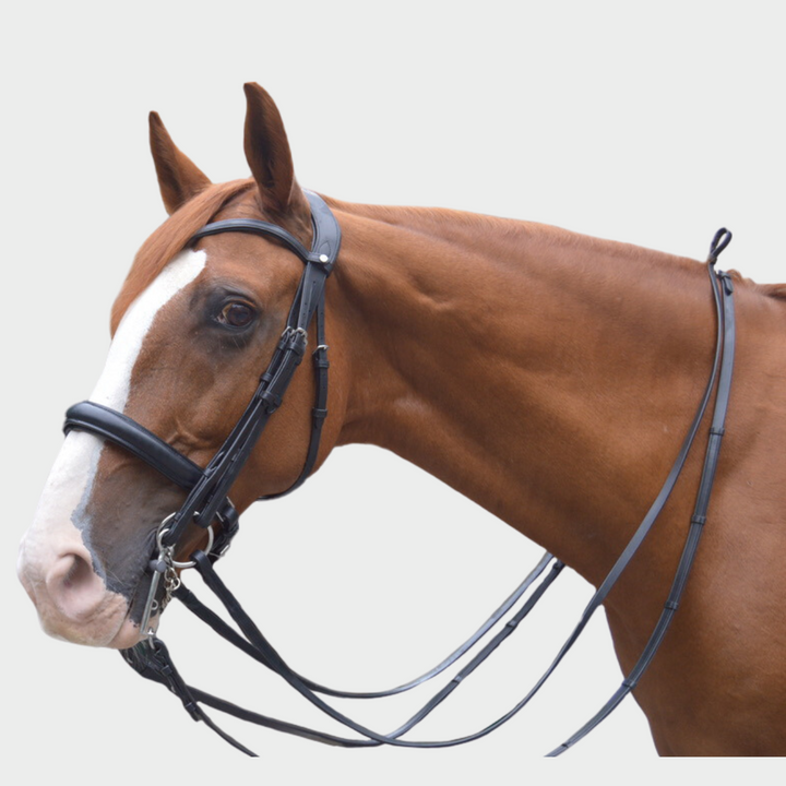 Elegance Double Bridle