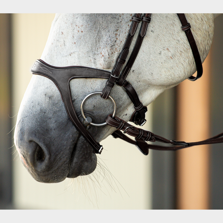 Victory Jumping Bridle