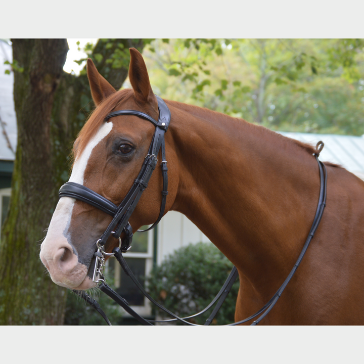 Olympus Double Bridle