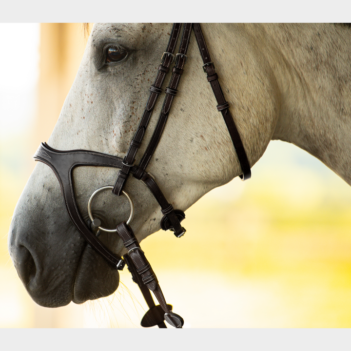 Victory Jumping Bridle