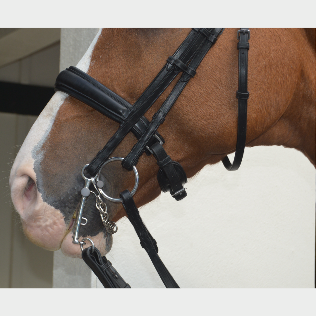 Olympus Double Bridle