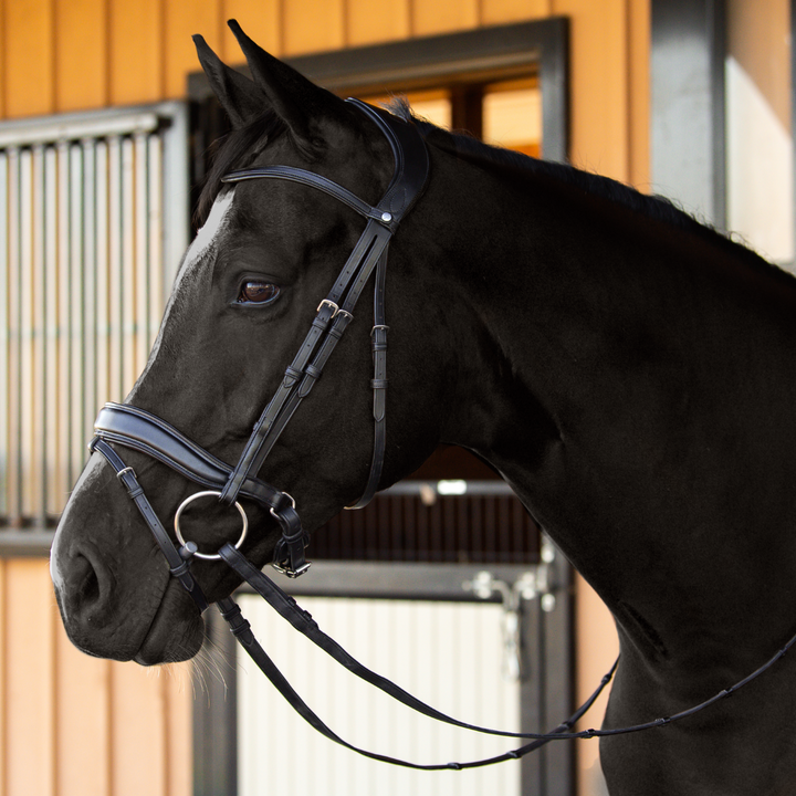 Infinity Dressage Bridle White Padding