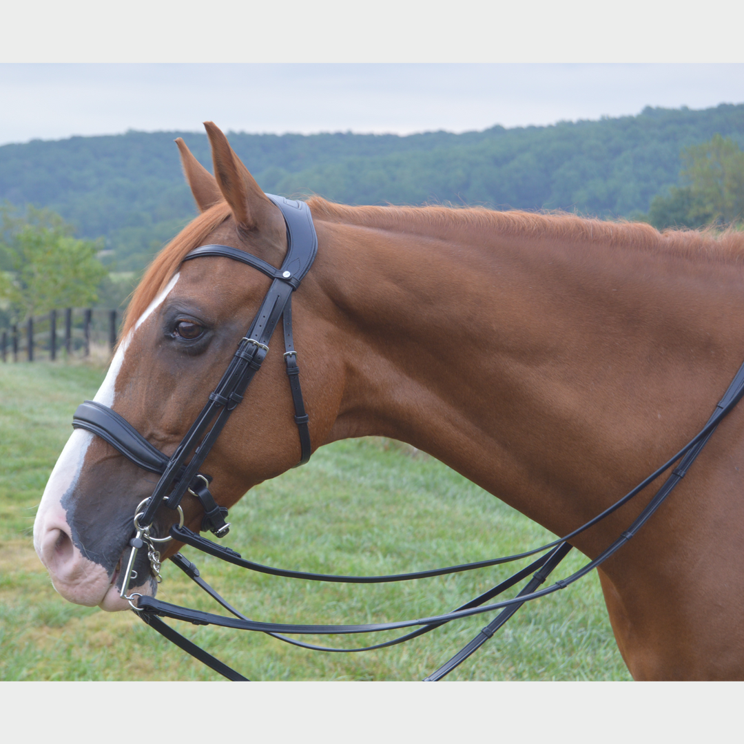 Infinity Double Bridle