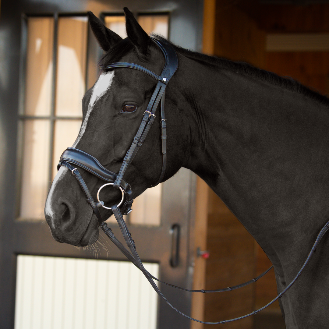 Destiny Dressage Bridle