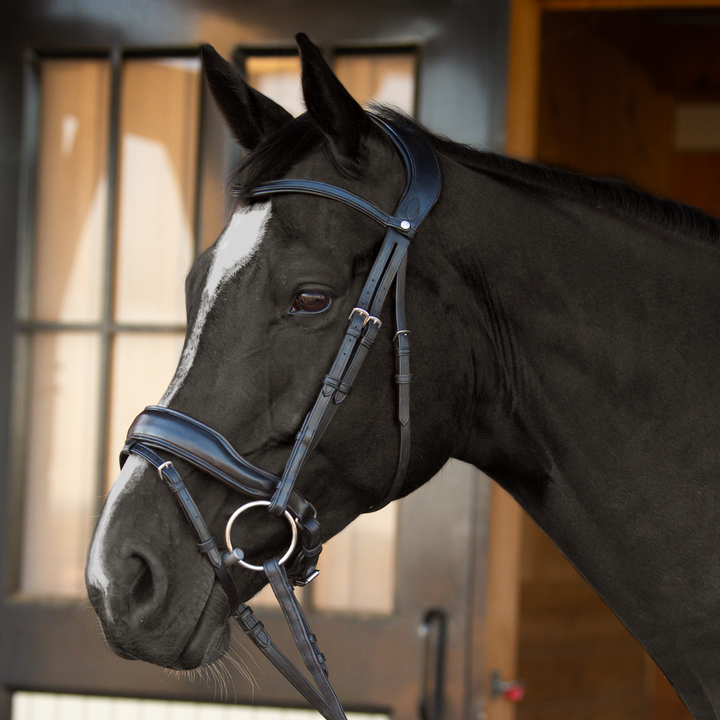 Destiny Dressage Bridle