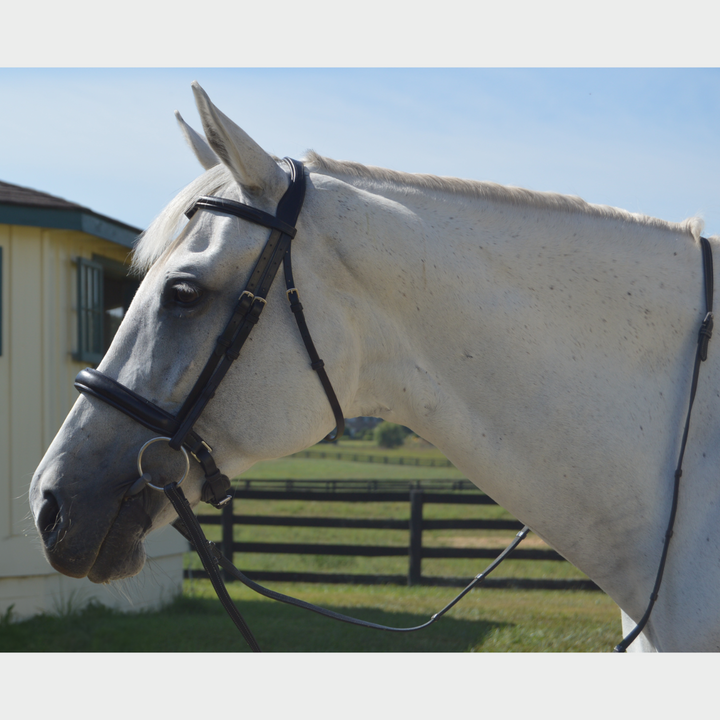 Elegance Traditional Bridle Cream Stitching