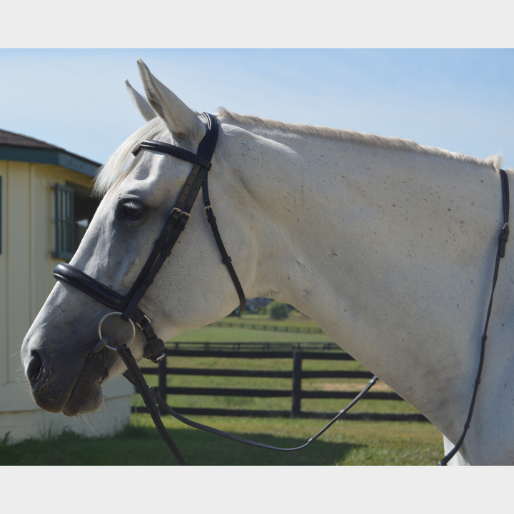 Elegance Traditional Bridle