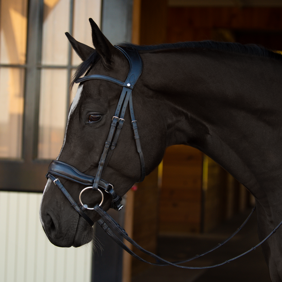 Destiny Dressage Bridle