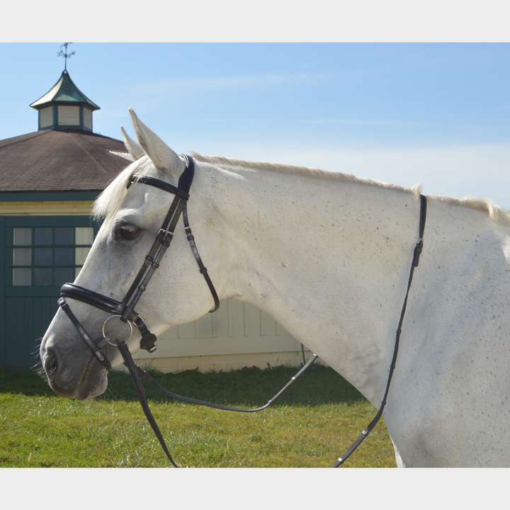 Elegance Traditional Bridle