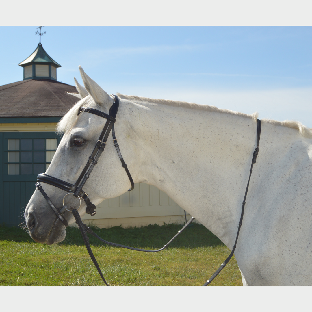 Elegance Traditional Bridle Cream Stitching