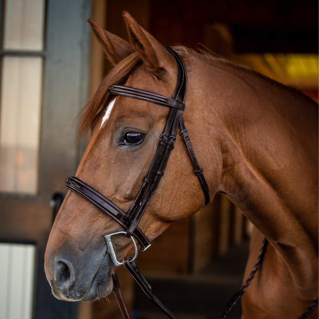 Encore Bridle