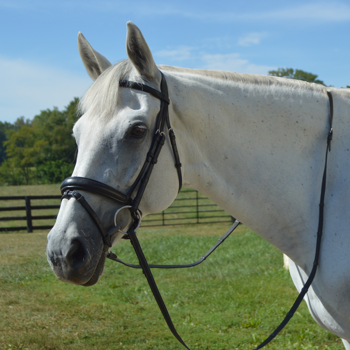 Elegance Traditional Bridle