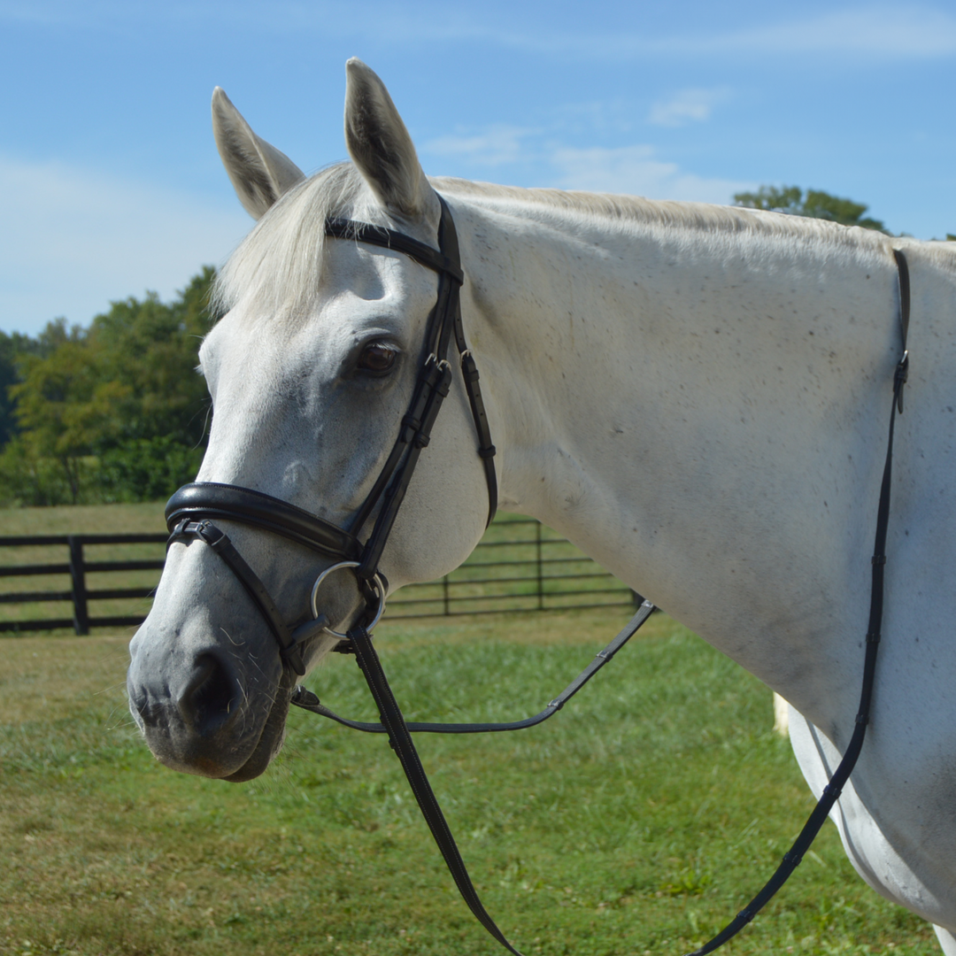 Elegance Traditional Bridle Cream Stitching