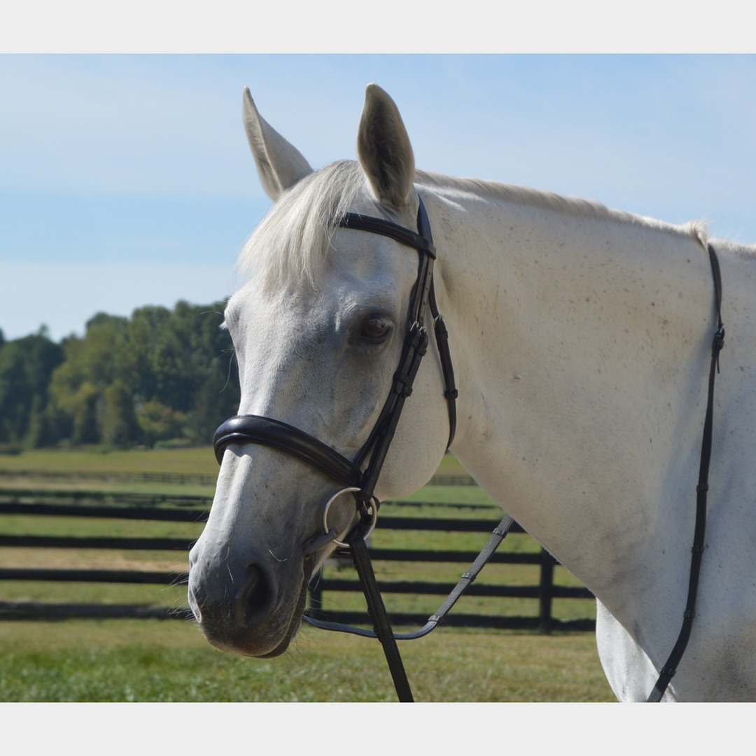 Elegance Traditional Bridle Cream Stitching