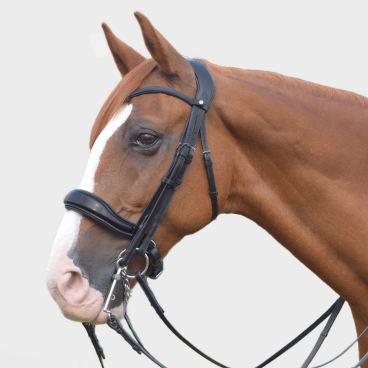 Destiny Double Bridle