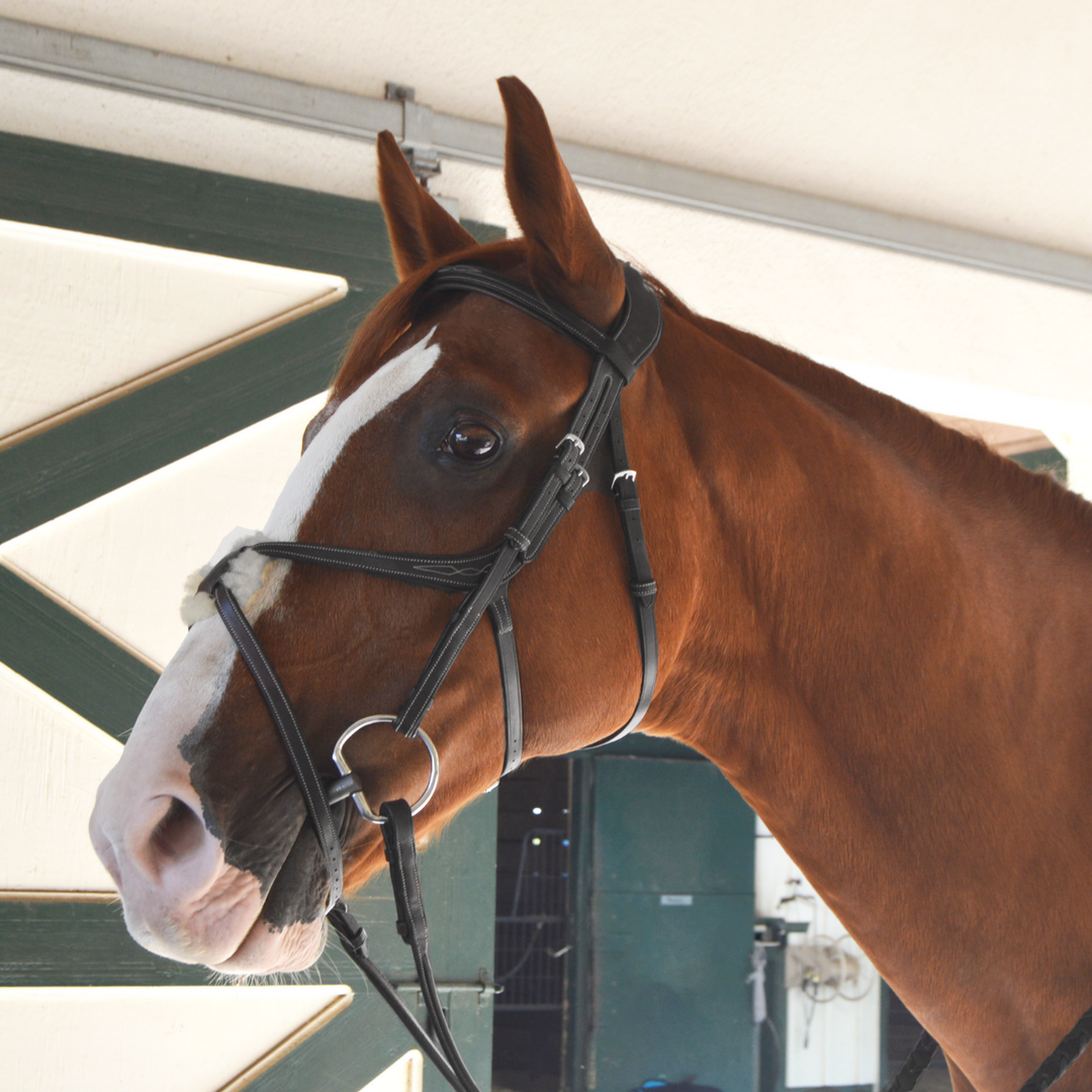 Athena Anatomic Jumping Bridle