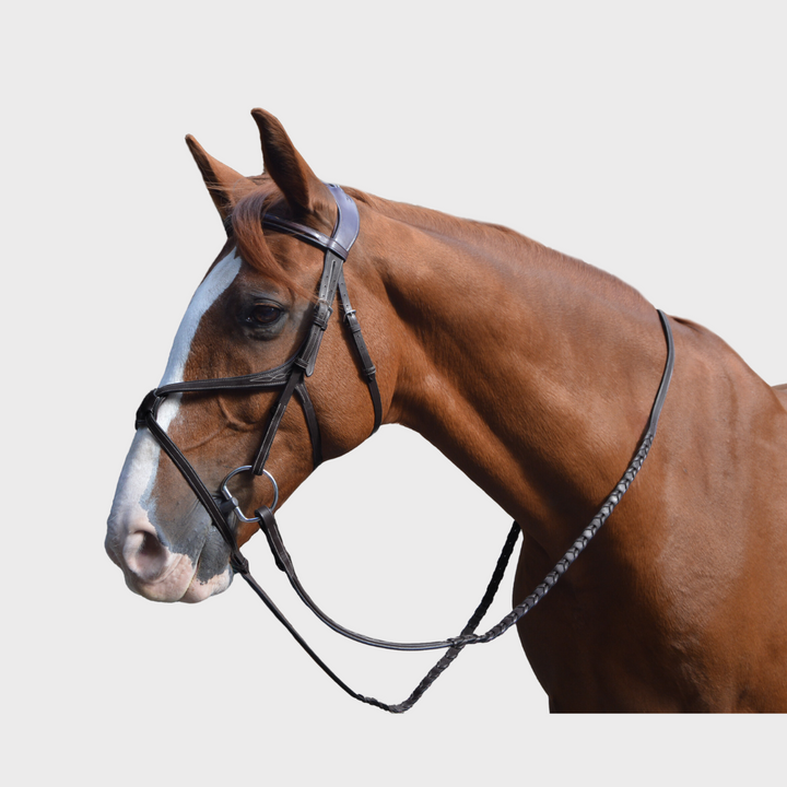 Athena Anatomic Jumping Bridle