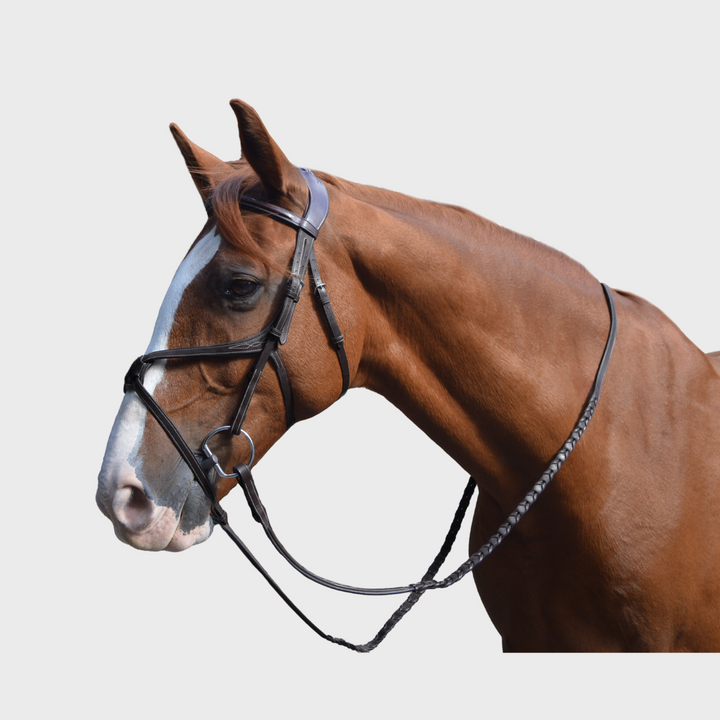 Athena Anatomic Jumping Bridle Cream Stitching