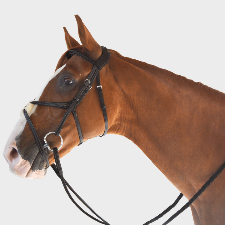 Athena Anatomic Jumping Bridle