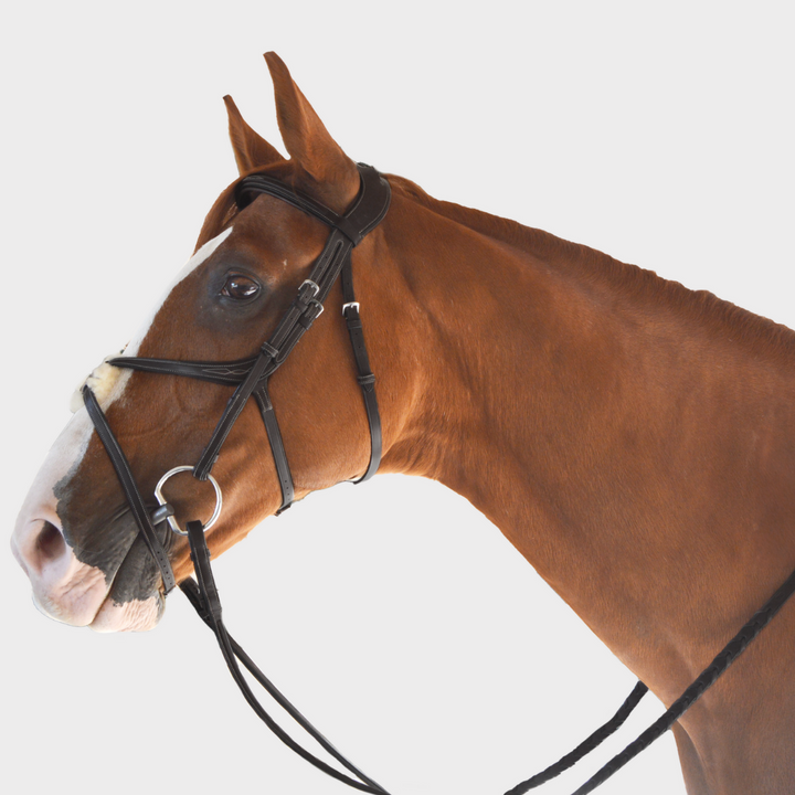 Athena Anatomic Jumping Bridle Cream Stitching