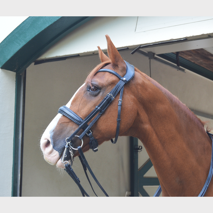 Olympus Double Bridle