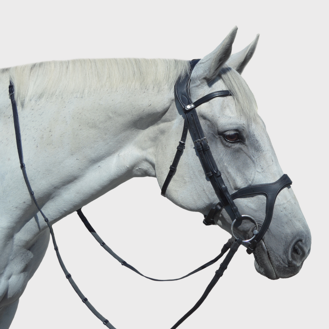 Victory Dressage Bridle