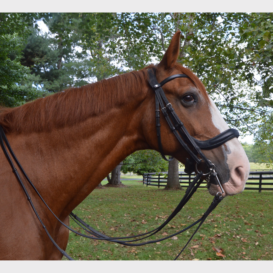 Advance Double Bridle