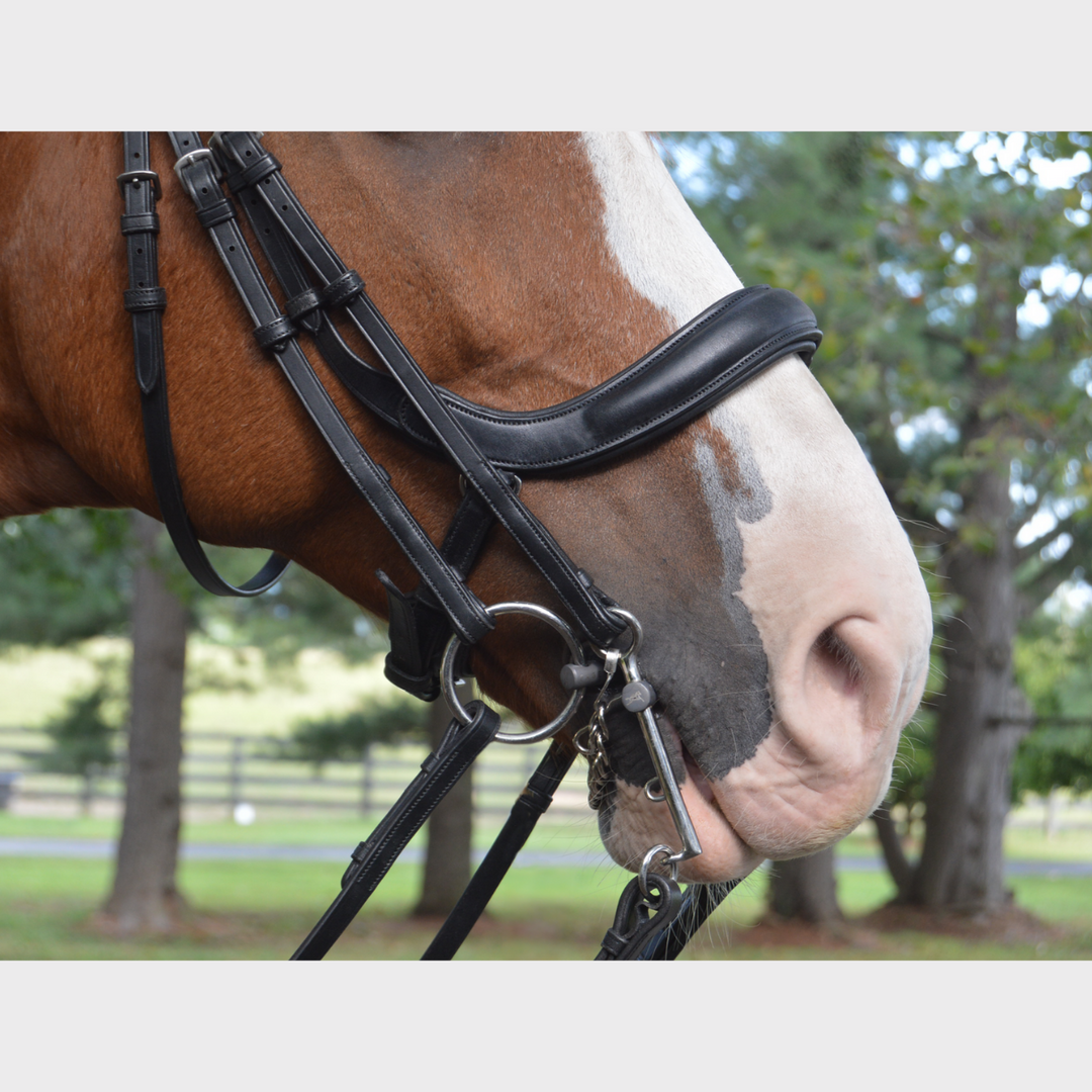 Advance Double Bridle