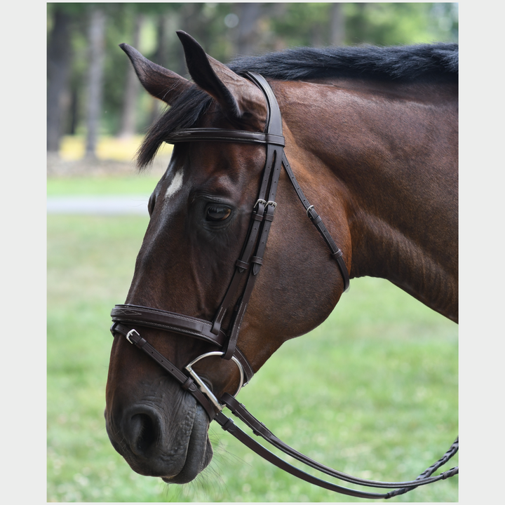 Encore Bridle w/ Removable Flash Tone/Tone