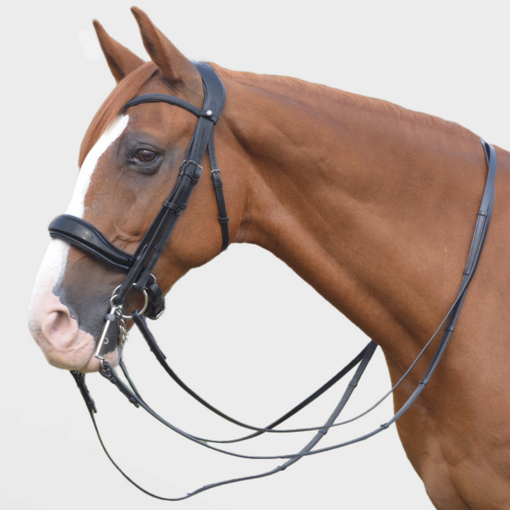 Destiny Double Bridle