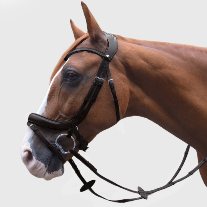 Advance Jumping Bridle