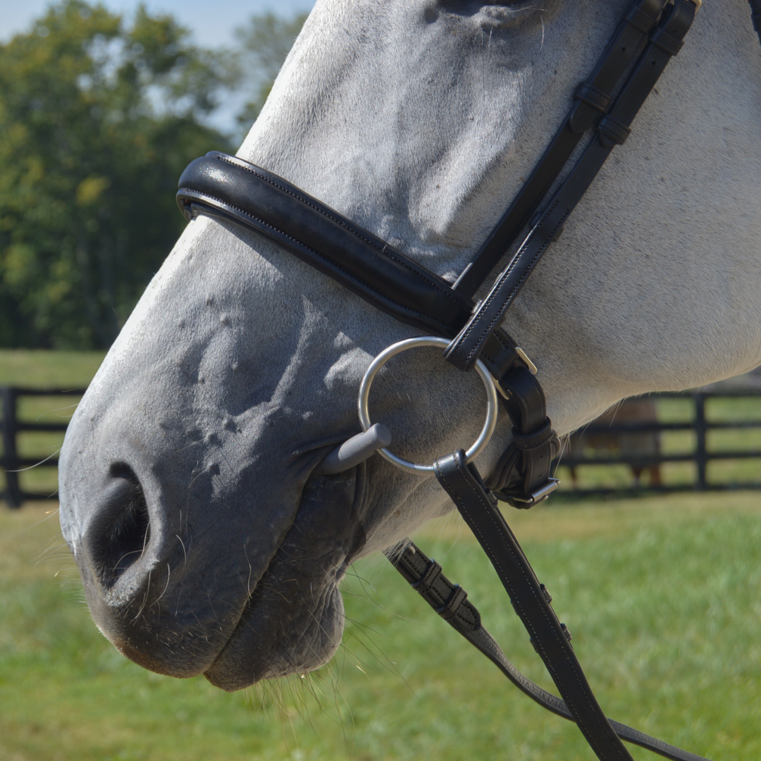 Elegance Traditional Bridle Cream Stitching