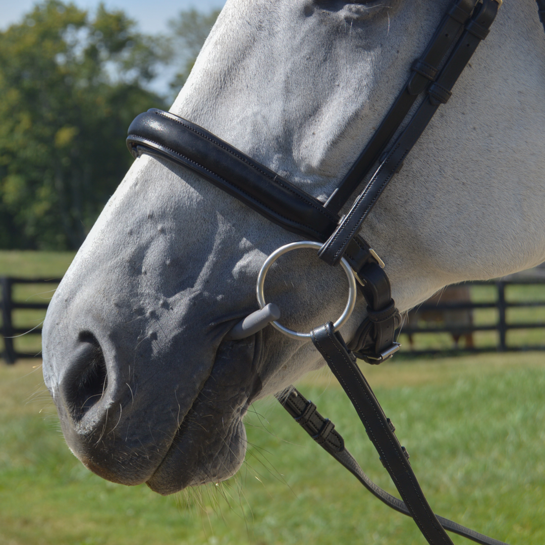 Elegance Dressage Bridle