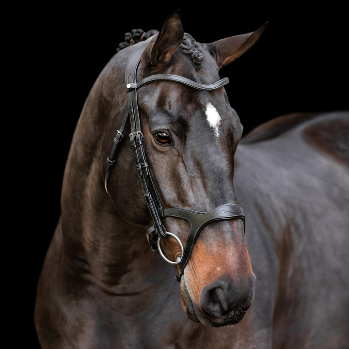 Victory Dressage Bridle