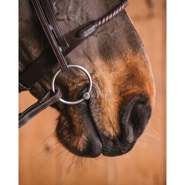 Fager Ginny Titanium Loose Ring